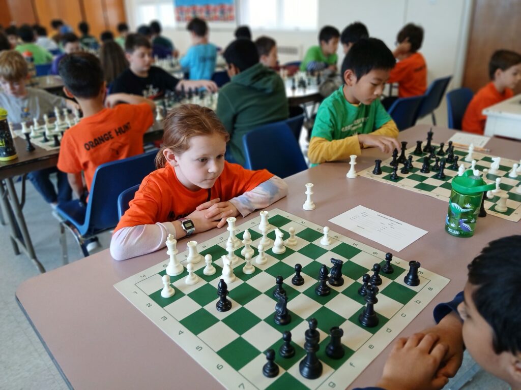 Friendly Competitive Environment